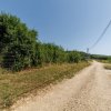 Teren Ștefănești Valea Mare imaginea mica 2 Teren Ștefănești Valea Mare thumb 2