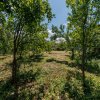 Casa cu teren de 889mp Prundu - Ideala pentru locuit sau dezvoltare imobiliara imaginea mica 14 Casa cu teren de 889mp Prundu - Ideala pentru locuit sau dezvoltare imobiliara thumb 14