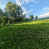 Teren intravilan 500 mp,Piscani – Dârmănești - acces facil din DN 73 imaginea mica 4 Teren intravilan 500 mp,Piscani – Dârmănești - acces facil din DN 73 thumb 4