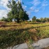 Teren intravilan 1.600 mp | Mioveni – Zona Pruni - Posibilitate extindere imaginea mica 5 Teren intravilan 1.600 mp | Mioveni – Zona Pruni - Posibilitate extindere thumb 5