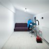 PALAZU MARE - Casa Viselor: Vila cu Guest House și Grădină de Poveste! thumb 21