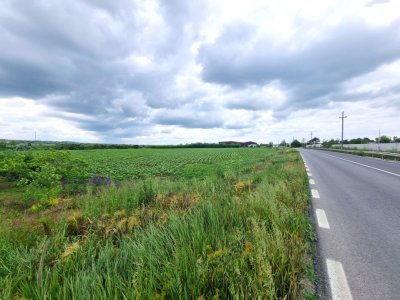 Localitatea Ovidiu  - teren extravilan 4000 mp 