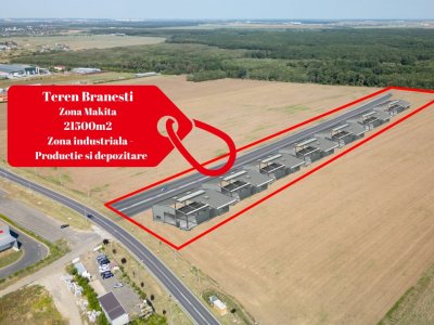 Teren Vanzare Intravilan Branesti investitie Zona Industriala Makita