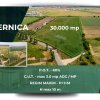 Teren de 30.000 mp în Cernica – pentru Dezvoltare Rezidențială sau Industriala  thumb 2
