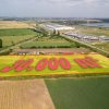 Teren de 30.000 mp în Cernica – pentru Dezvoltare Rezidențială sau Industriala  thumb 7
