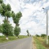 Teren de 30.000 mp în Cernica – pentru Dezvoltare Rezidențială sau Industriala  thumb 17