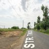 Teren de 30.000 mp în Cernica – pentru Dezvoltare Rezidențială sau Industriala  thumb 20
