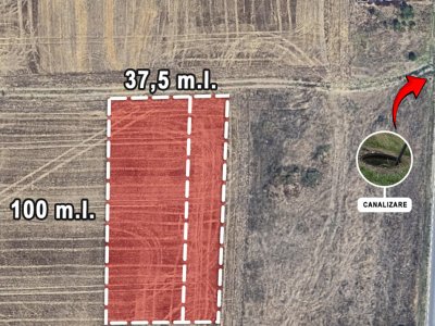 TEREN BRANESTI pentru  MICA DEZVOLTARE IMOBILIARA.