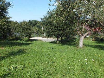 Teren Bran Sohodol , o zona de vis, o priveliste unica spre Bucegi!