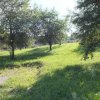Teren Bran Sohodol , o zona de vis, o priveliste unica spre Bucegi! imaginea mica 12 Teren Bran Sohodol , o zona de vis, o priveliste unica spre Bucegi! thumb 12