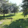 Teren Bran Sohodol , o zona de vis, o priveliste unica spre Bucegi! imaginea mica 13 Teren Bran Sohodol , o zona de vis, o priveliste unica spre Bucegi! thumb 13