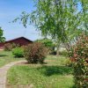 Vilă cu piscină, cabană, teren 2649 mp, Snagov - Ciofliceni imaginea mica 5 Vilă cu piscină, cabană, teren 2649 mp, Snagov - Ciofliceni thumb 5