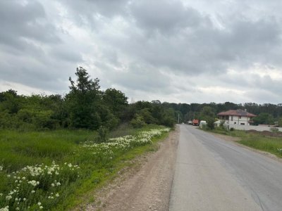 Terenul dintre 2 lacuri – 1000 mp în Mogoșoaia, la 5 minute de pădure