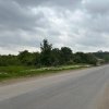 Terenul dintre 2 lacuri – 1000 mp în Mogoșoaia, la 5 minute de pădure thumb 2