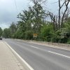 Terenul dintre 2 lacuri – 1000 mp în Mogoșoaia, la 5 minute de pădure thumb 10