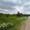 Terenul dintre 2 lacuri – 1000 mp în Mogoșoaia, la 5 minute de pădure thumb 13