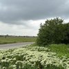 Terenul dintre 2 lacuri – 1000 mp în Mogoșoaia, la 5 minute de pădure thumb 15