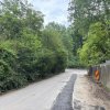 Terenul dintre 2 lacuri – 1000 mp în Mogoșoaia, la 5 minute de pădure thumb 17