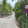 Terenul dintre 2 lacuri – 1000 mp în Mogoșoaia, la 5 minute de pădure thumb 18