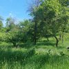 Casa gospodarului, bine întreținută, cu teren generos – Comarnic thumb 25