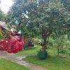 Casa gospodarului, înconjurată de natură, Comarnic imaginea mica 32 Casa gospodarului, înconjurată de natură, Comarnic thumb 32
