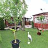 Cumpana – casa buna, aproape de tot ce conteaza thumb 6