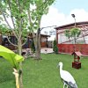 Cumpana – casa buna, aproape de tot ce conteaza thumb 7