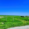 23 AUGUST- teren intravilan 800 mp intre case -pe latura  dinspre mare thumb 2
