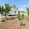 Comision 0% | Casa noua cu terasa si gradina, Ovidiu imaginea mica 2 Comision 0% | Casa noua cu terasa si gradina, Ovidiu thumb 2