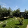 Casa cu 4 camere si garaj cu rampa-teren 500 mp-jud. Constanta  thumb 4