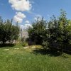 Casa cu 4 camere si garaj cu rampa-teren 500 mp-jud. Constanta  thumb 8