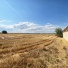 Casa de vanzare in Delta Dunarii - Tulcea, Jurilovca - 236mp utili, teren 5508mp thumb 12