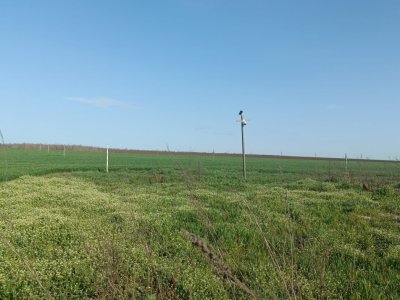 Teren 500 mp in Costinesti pentru investitie 