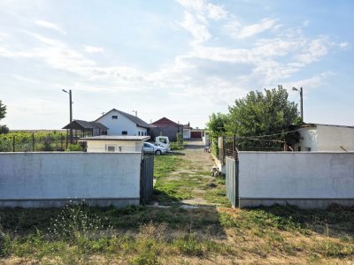 Ferma de vânzare – Oportunitate unică la doar 20 de minute de Constanța!