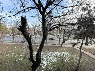 Apartament de vânzare cu 4 camere – Tomis Nord