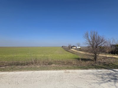 Teren intravilan 500 mp in Corbu, ideal pentru investitie