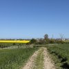Teren de investitie in CARTIER NOVA in Costinesti la 2 Km de plaja thumb 7