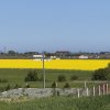 Teren de investitie in CARTIER NOVA in Costinesti la 2 Km de plaja thumb 8