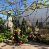PROPRIETATE 250MP TEREN + CASA 101MP I KM 5 I OPORTUNITATE INVESTITIE thumb 2