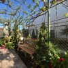 PROPRIETATE 250MP TEREN + CASA 101MP I KM 5 I OPORTUNITATE INVESTITIE thumb 11