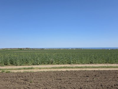 Teren extravilan in Corbu, 5000 MP, zona Plaja Corbu, doar 15 euro/mp