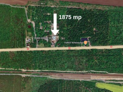 Teren in mijlocul padurii Valu lui Traian 1875 mp si bonus cladire 450 mp hala