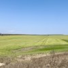 Avans 500 euro - Teren de investitie la Mare! Statiunea Costinesti 444 mp  thumb 3