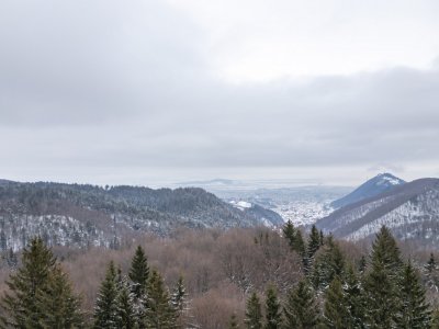 Teren intravilan, constructii S+P+2E+M, Drumul Poienii