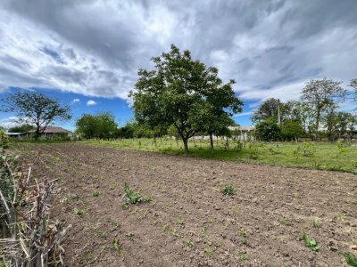 Casă + teren 4430 mp, vie și pomi fructiferi, 22 km de Tecuci