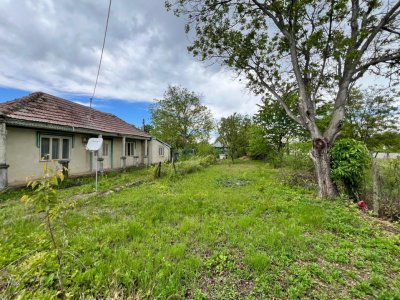 Casă + teren 4430 mp, vie și pomi fructiferi, 22 km de Tecuci