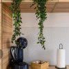 Apartament cu două camere pe Strada de Mijloc imaginea mica 4 Apartament cu două camere pe Strada de Mijloc thumb 4