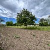 Casă + teren 4430 mp, vie și pomi fructiferi, 22 km de Tecuci imaginea mica 7 Casă + teren 4430 mp, vie și pomi fructiferi, 22 km de Tecuci thumb 7