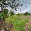 Casă + teren 4430 mp, vie și pomi fructiferi, 22 km de Tecuci imaginea mica 9 Casă + teren 4430 mp, vie și pomi fructiferi, 22 km de Tecuci thumb 9