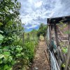 Casă + teren 4430 mp, vie și pomi fructiferi, 22 km de Tecuci imaginea mica 16 Casă + teren 4430 mp, vie și pomi fructiferi, 22 km de Tecuci thumb 16